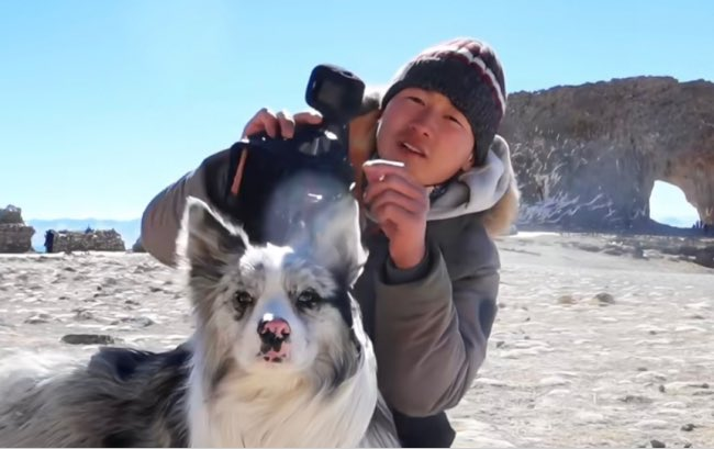 With his human · 家人